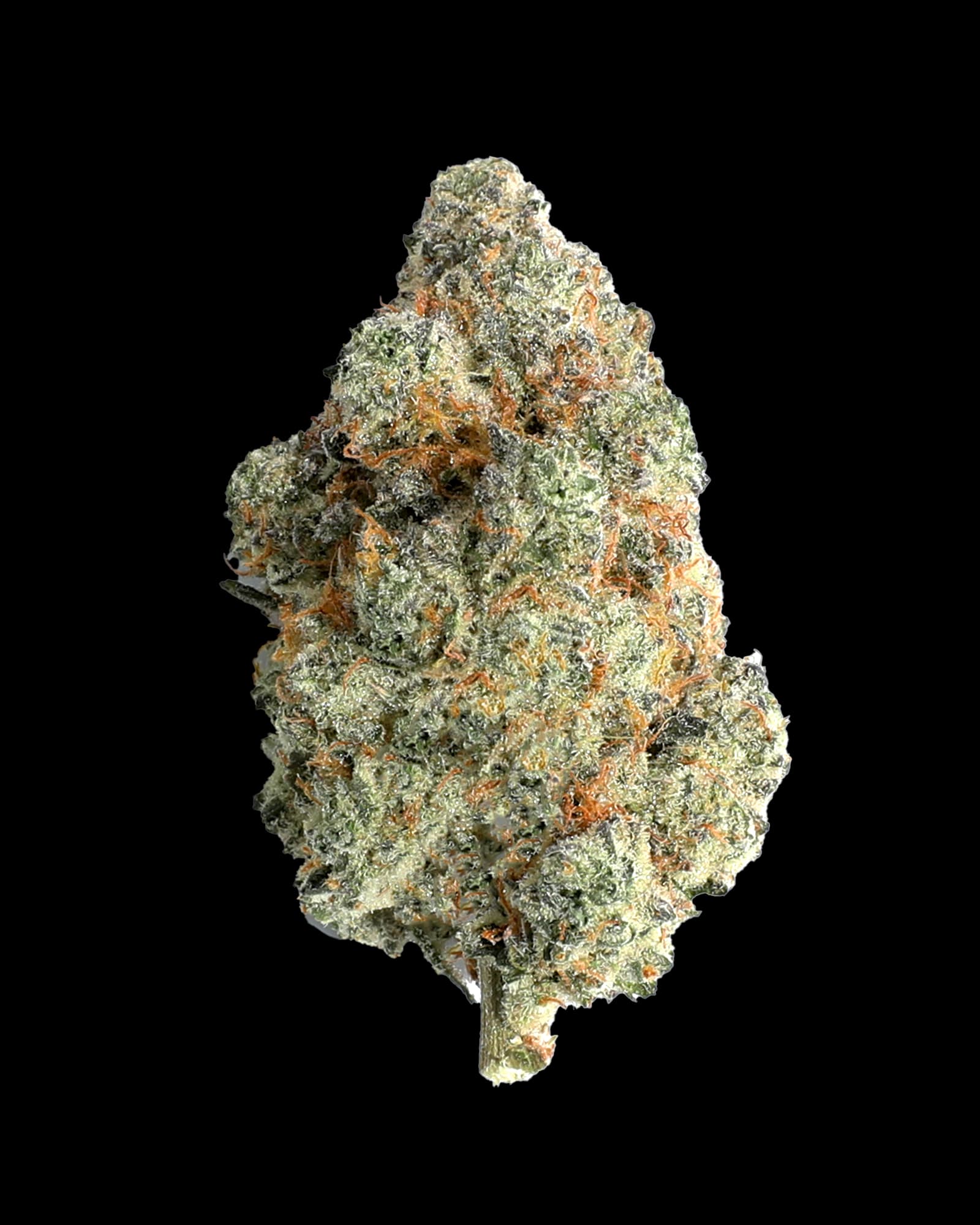 High Life Farms