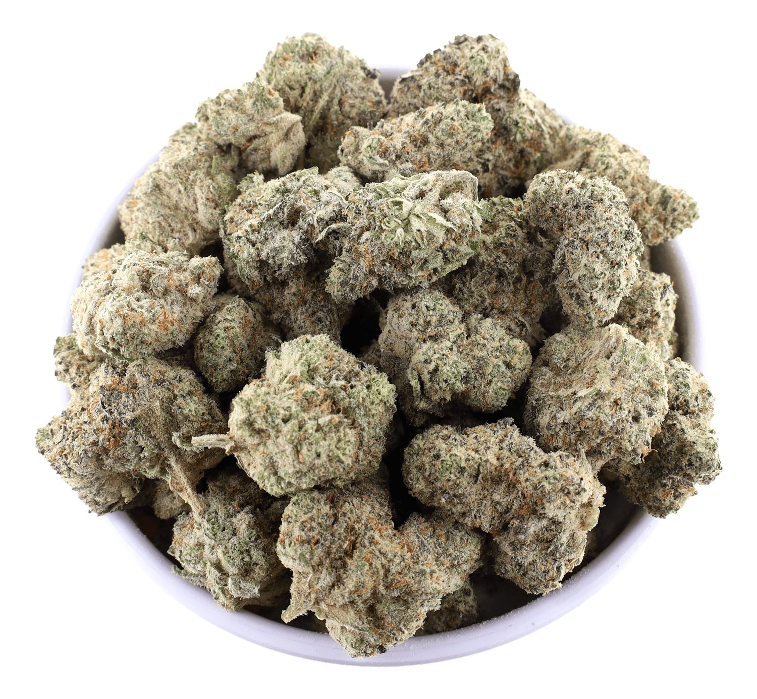 G High Joe