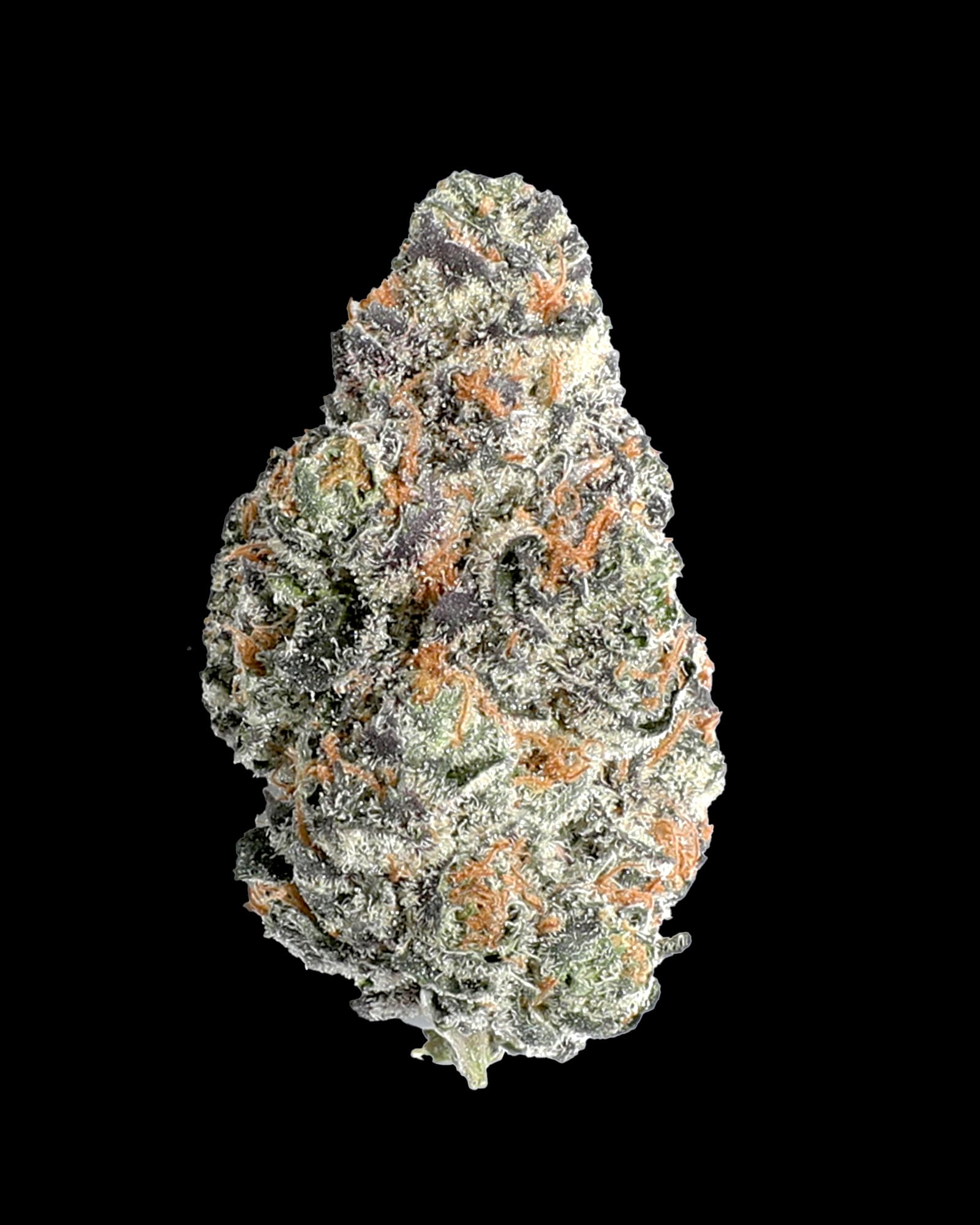 High Life Farms