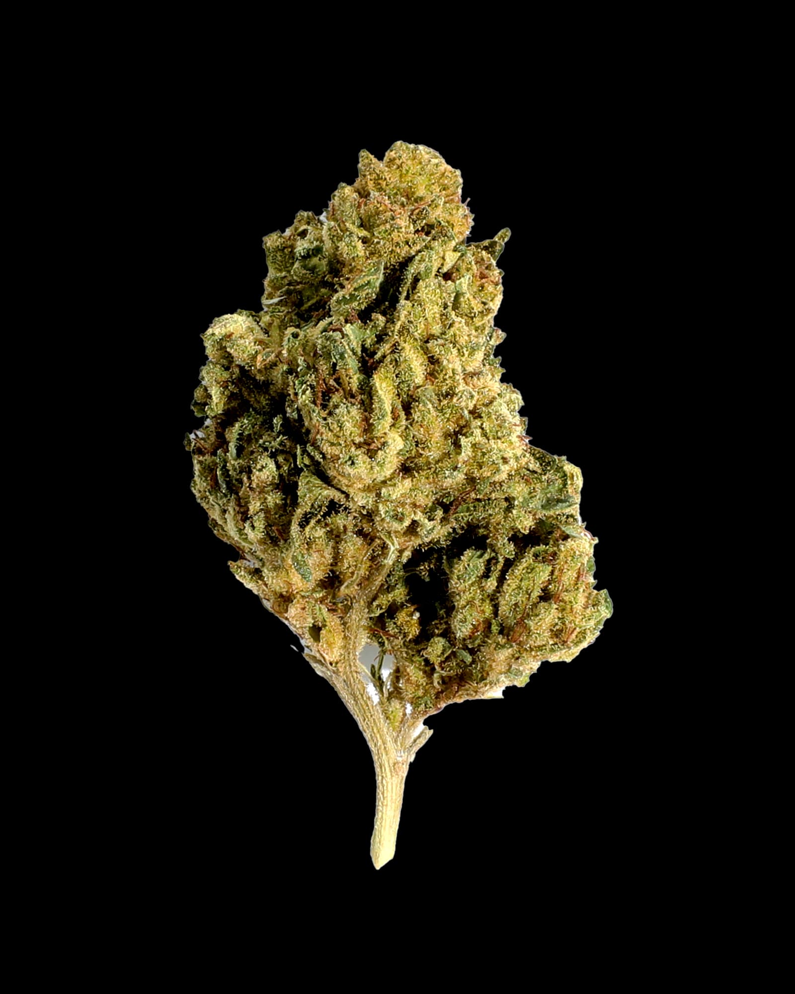 Grasshopper Farms SUNGROWN HIP HOP KUSH 3.5G