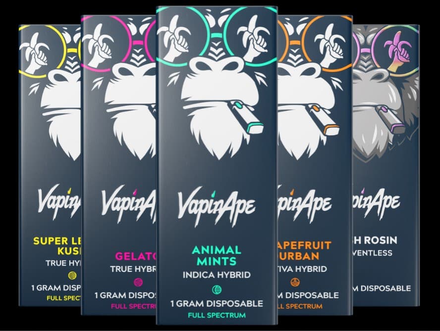 Vapin Ape Black Cherry Kush | Disposable | 1g | VapinApe
