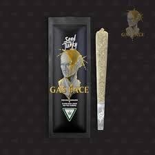 Minntz Minntz Pre-Roll | Gunn Powder