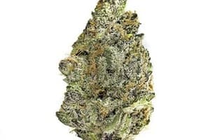 Gogi Sungrown Frozen Bag