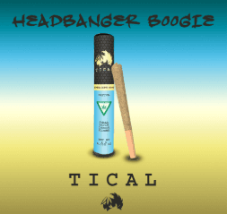 TICAL Flower 3.5g - Sativa Headbanger Boogie