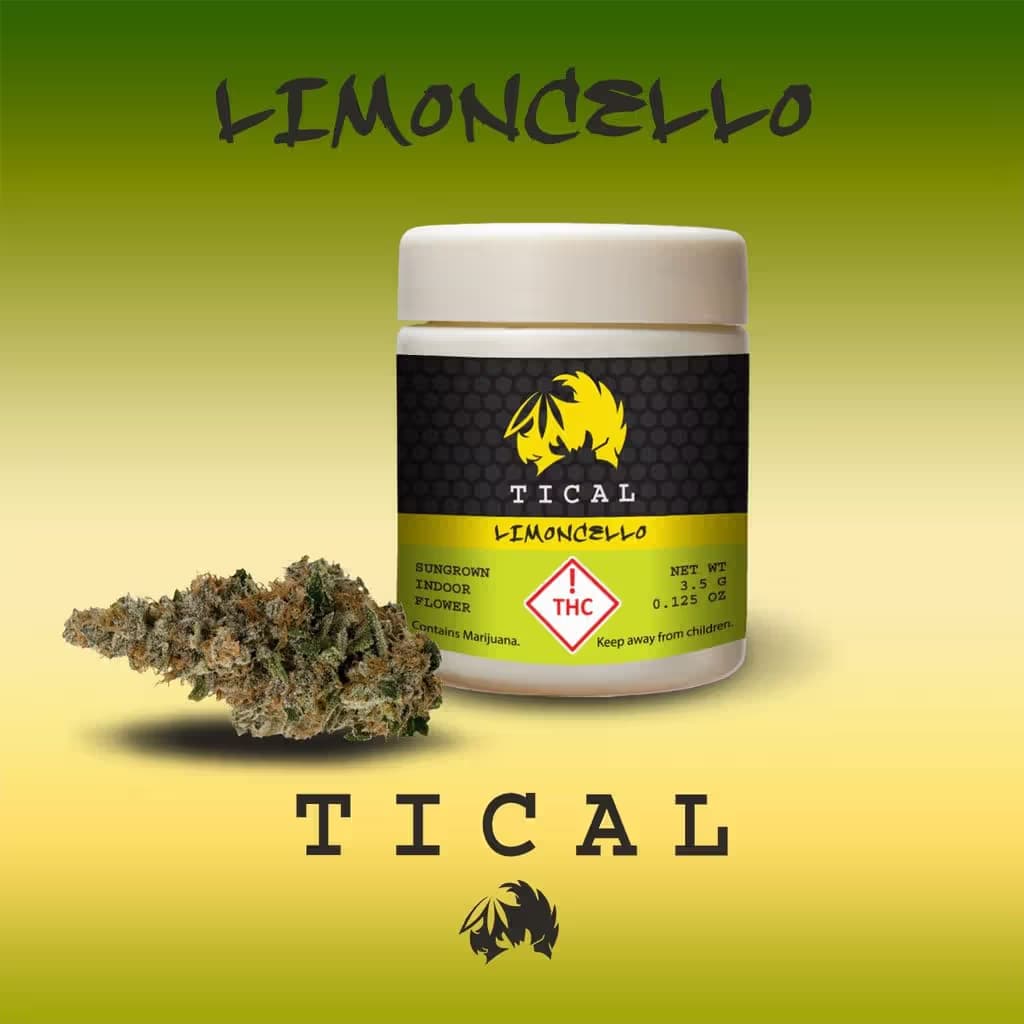 TICAL