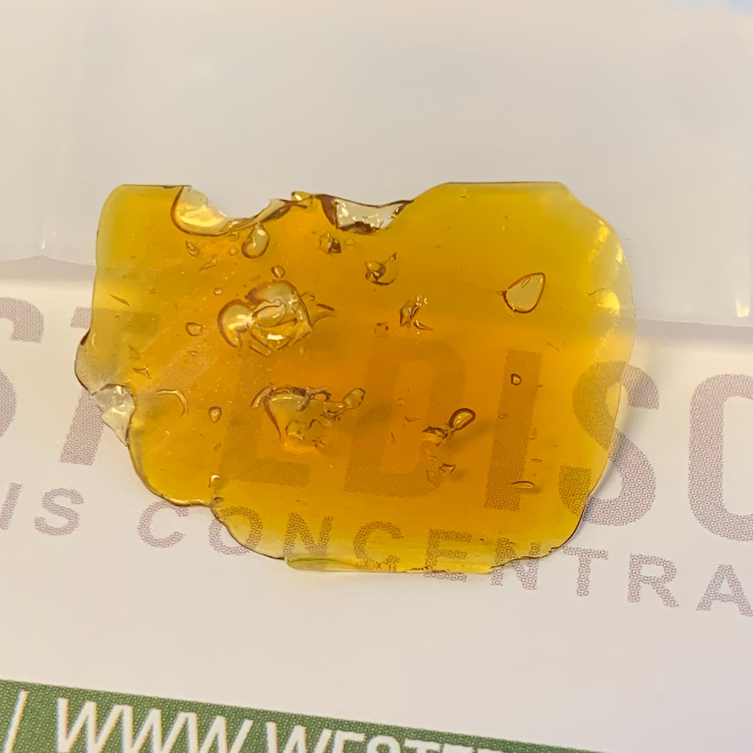West Edison Melted Runtz