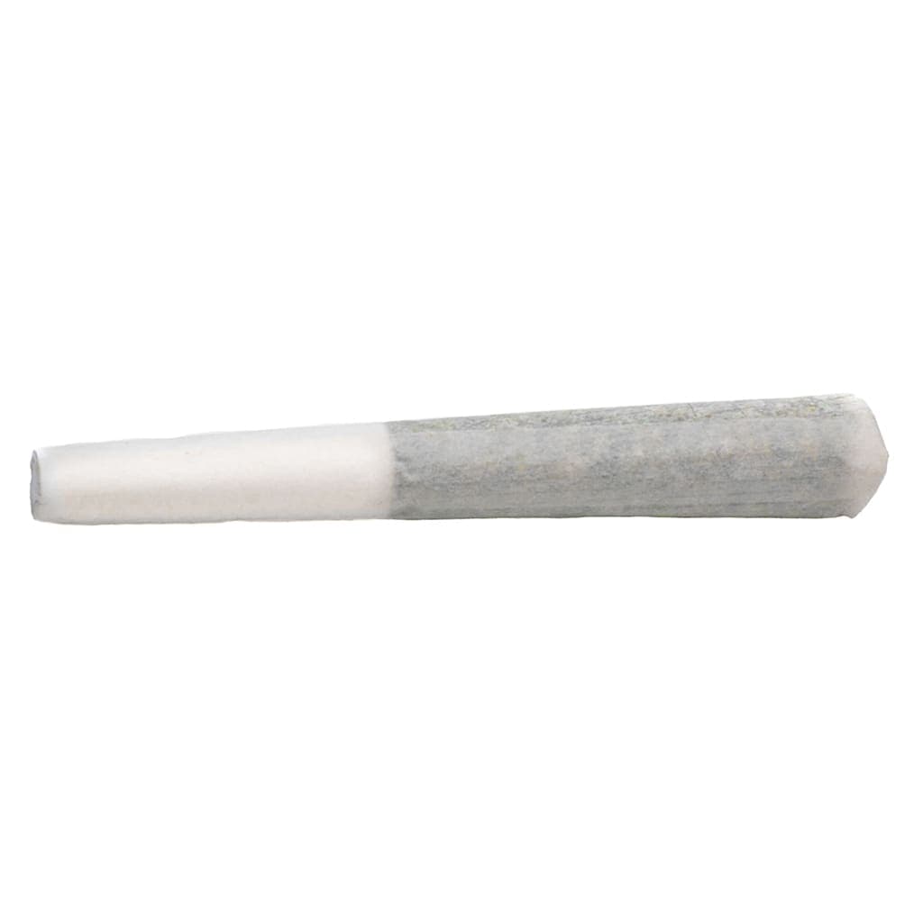 BOLD Root Beer Float 3 x 0.5g Pre-Rolls