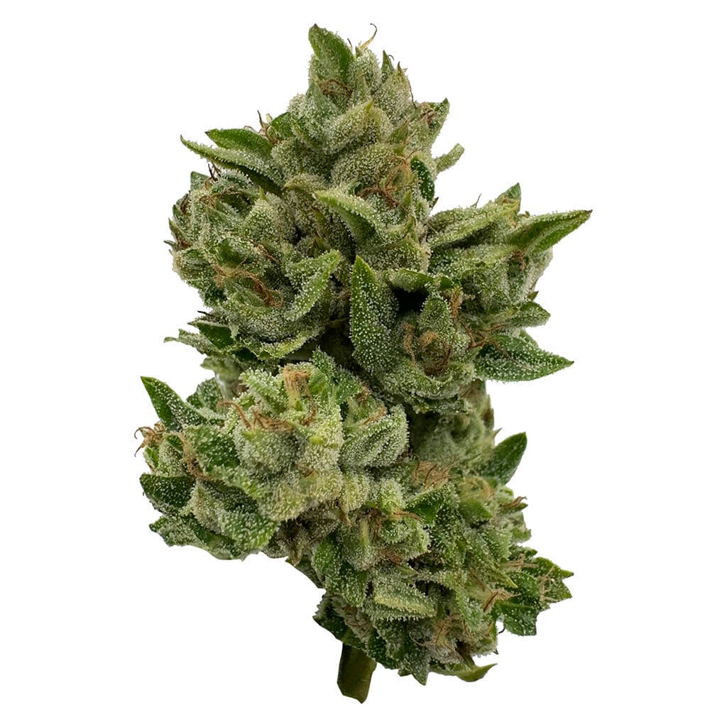 DEELISH Pretty Sweet 28g Dried Flower