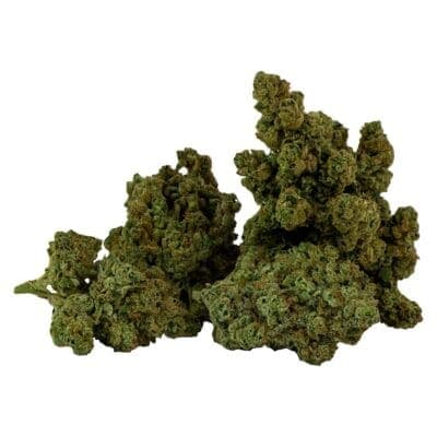 Grass Monkeys