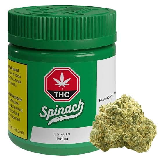 Spinach Concentrates