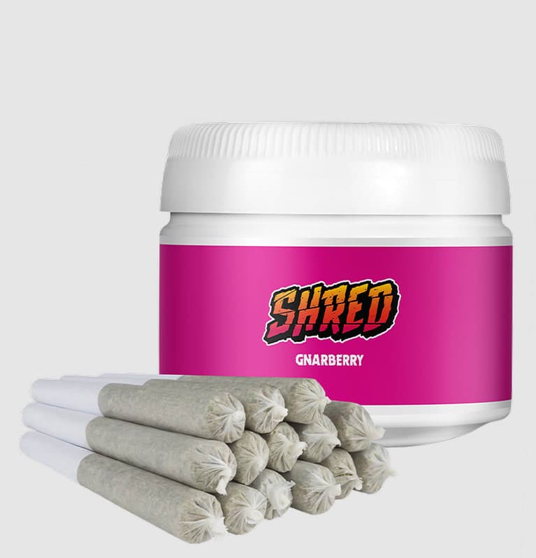 SHRED Gnarberry J's 14 x 0.5g Pre-Rolls