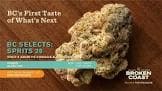 Broken Coast Blue Dream 7g Dried Flower