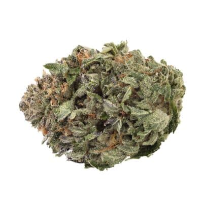 The Florist Sucker Punch 7g Dried Flower
