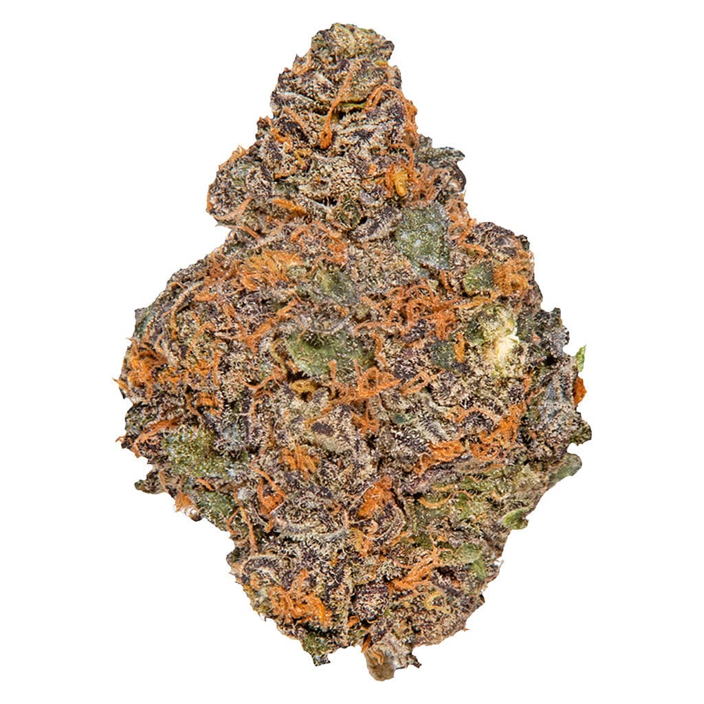 Potluck Beaver Tail 7g