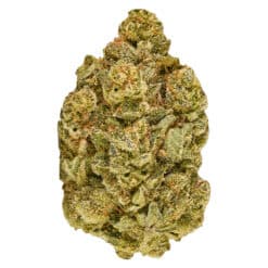 Color Cannabis Sour Grapefruit Haze 7g