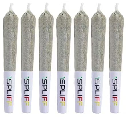 1Spliff Pink Lemonade 7 x 0.5g Pre-Rolls - Hybrid
