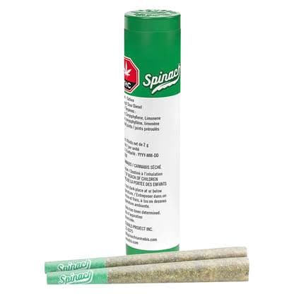 Spinach Concentrates