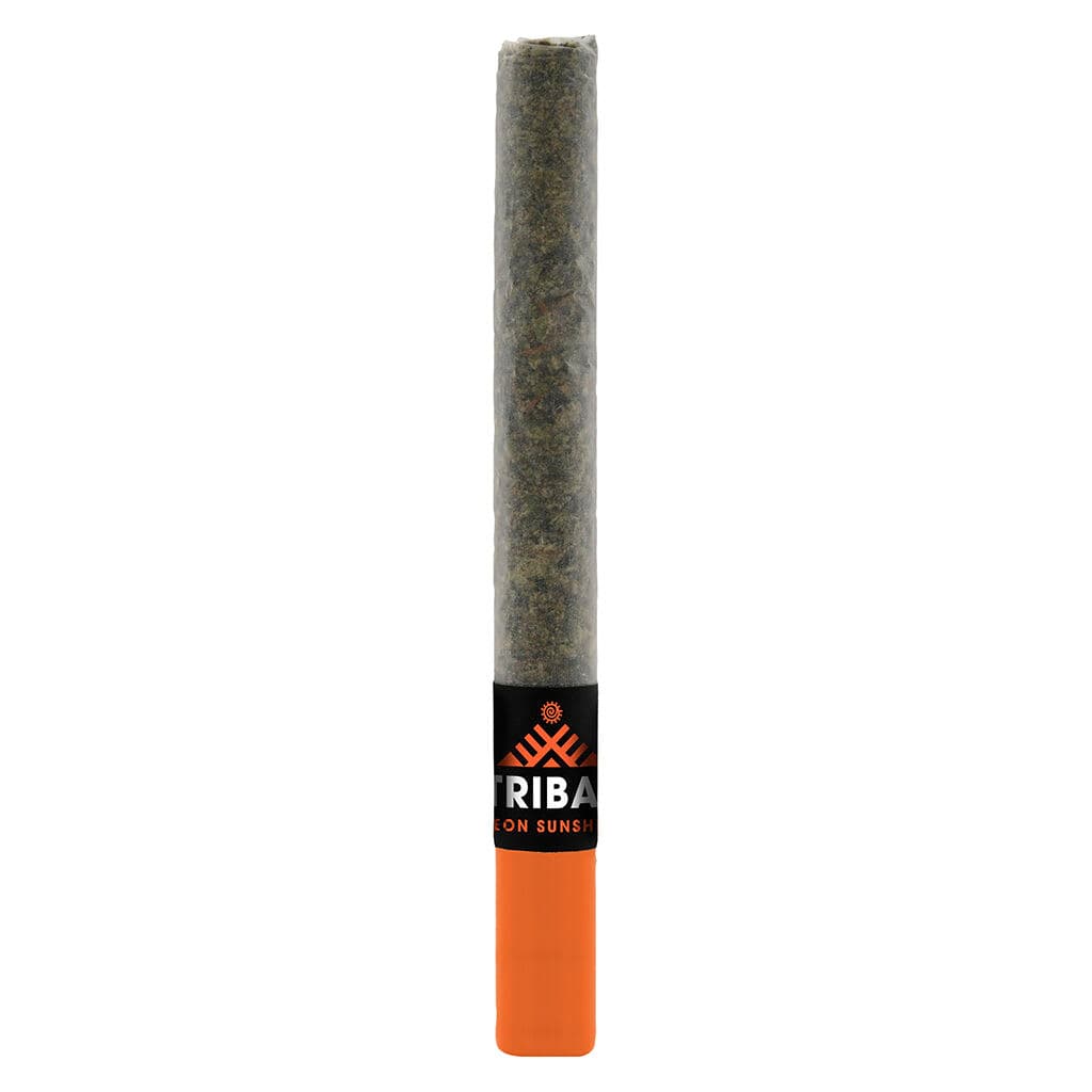 Tribal Tribal Neon Sunshine Ceramic Tip (Pre-Roll) / 1g / Singles / Hybrid