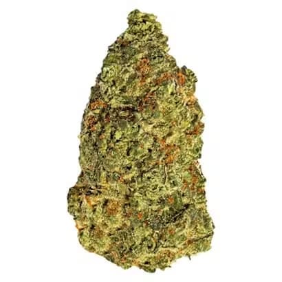 SOUTH POINT South Point Turbo Diesel / 3.5g / Whole Flower / Hybrid