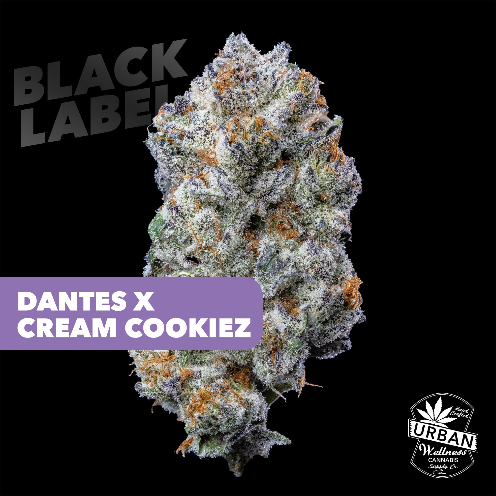 Urban Wellness Black Label - Dantes x Cream Cookiez [4g]