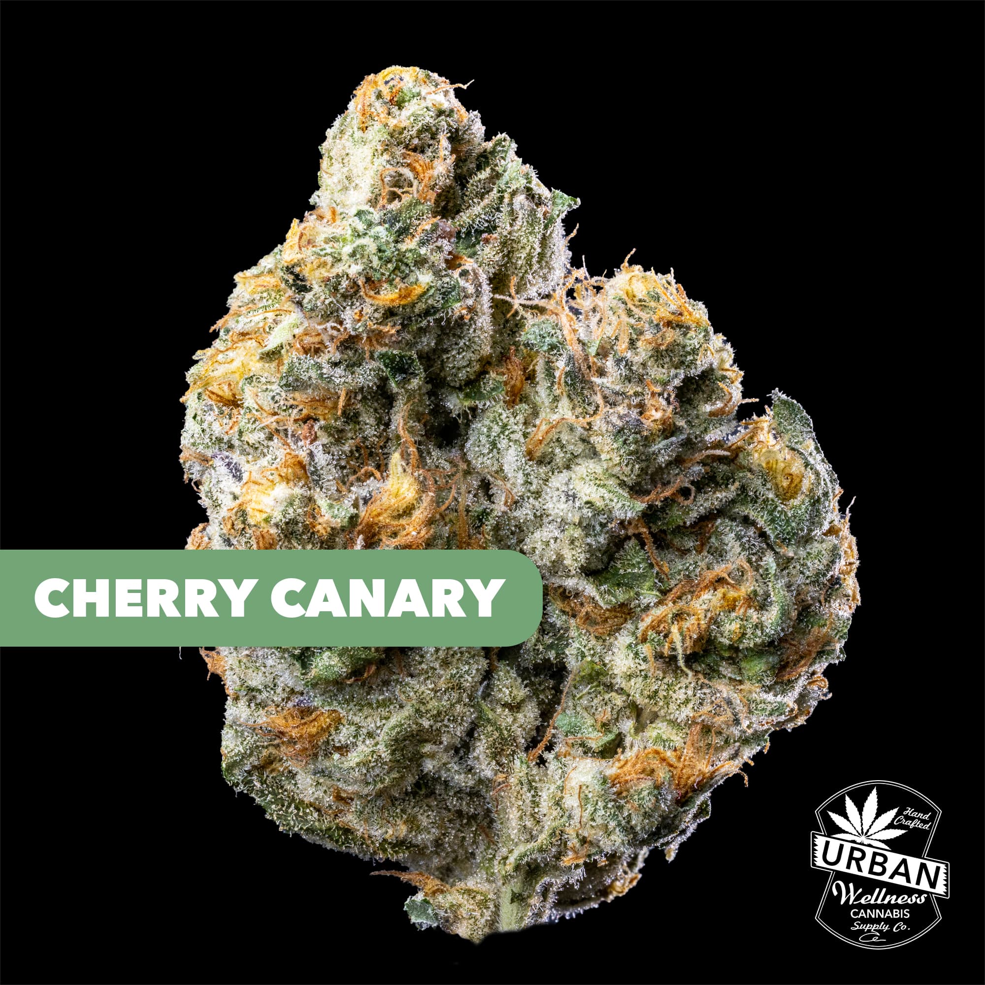 Urban Wellness Cherry Canary