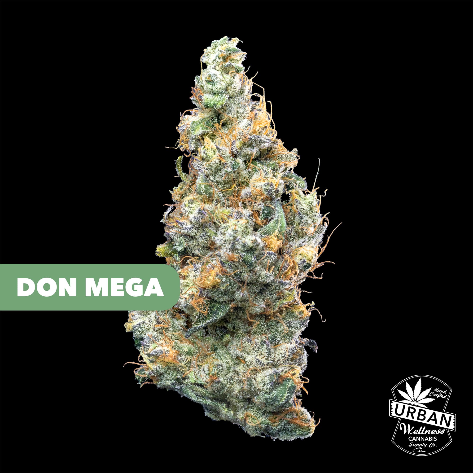 Urban Wellness Don Mega