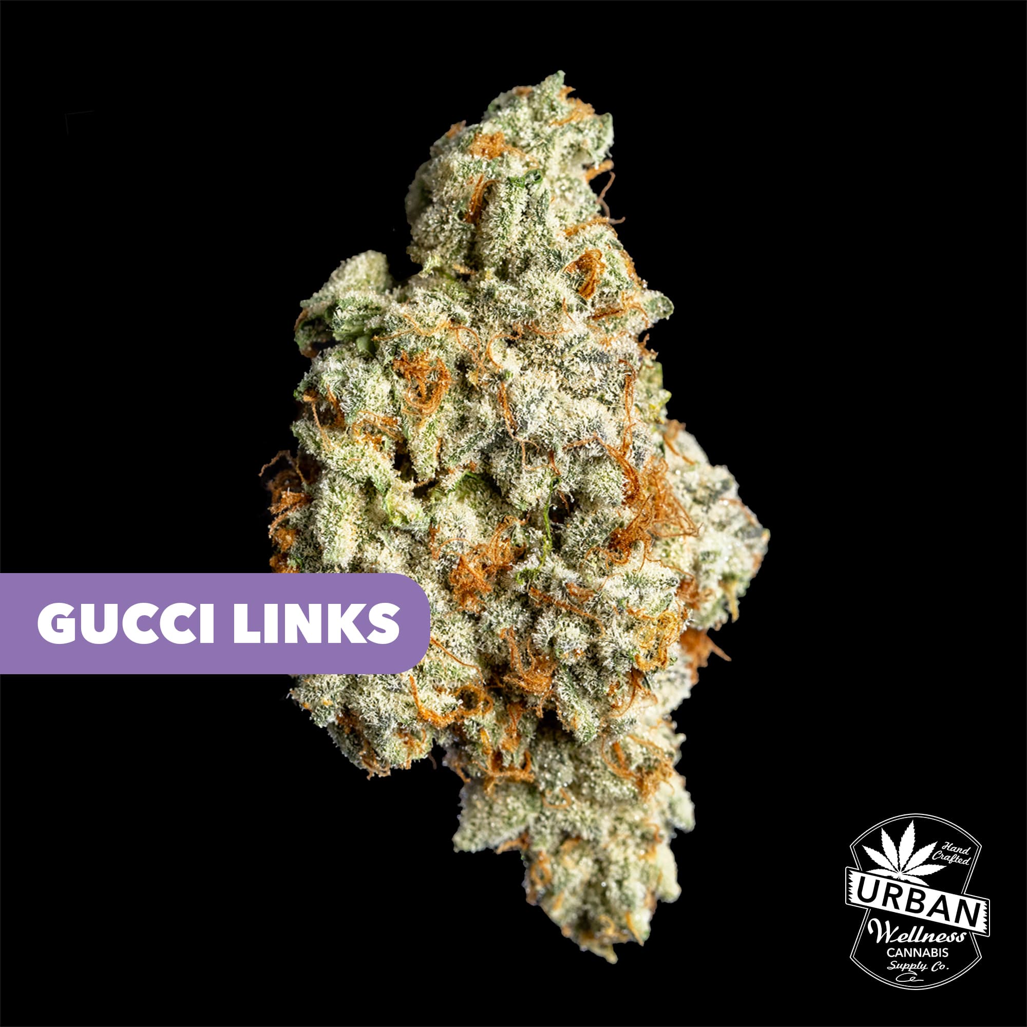 Urban Wellness Gucci Links