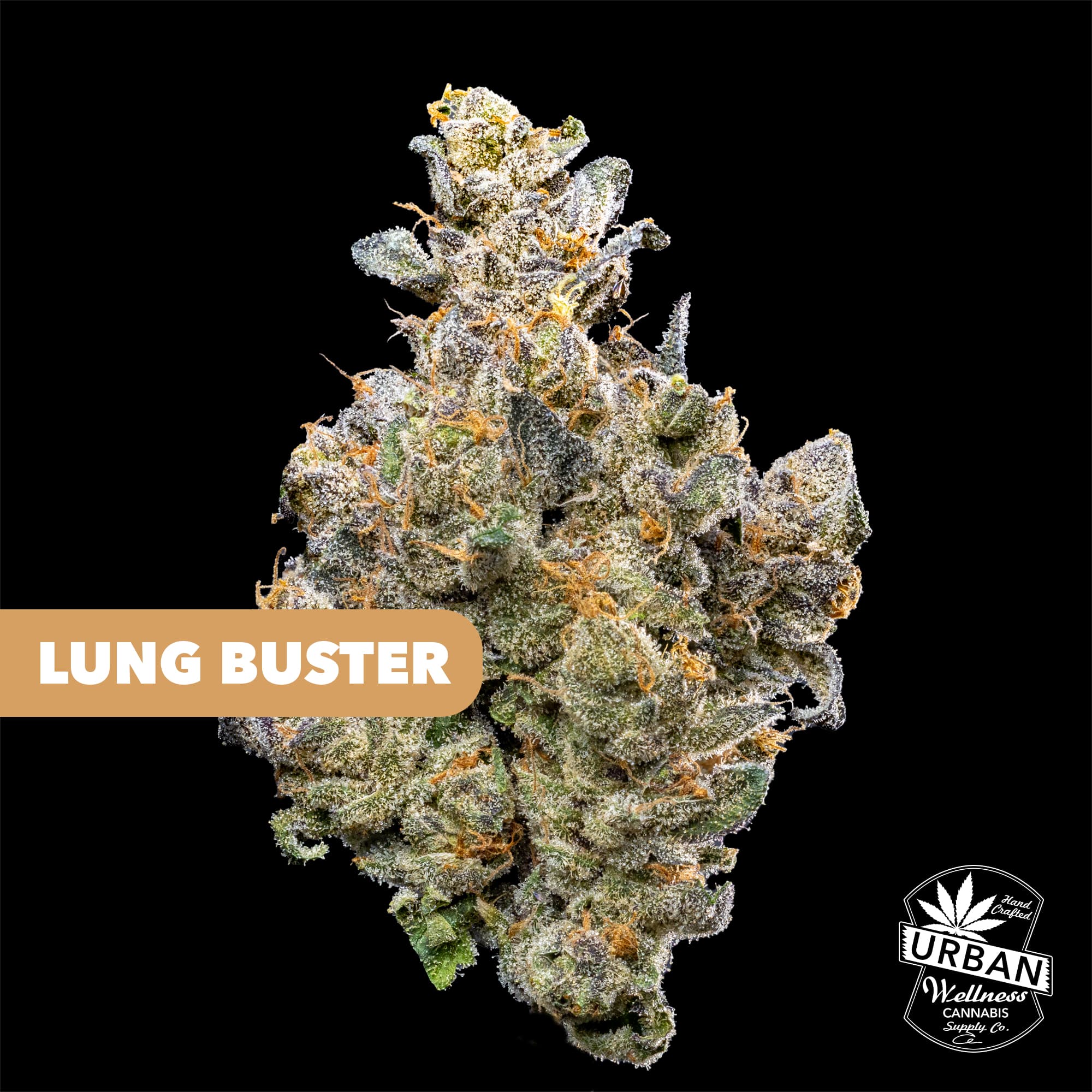 Urban Wellness Lung Buster