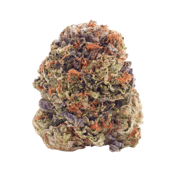 Choklit Park Mango Voltage 7g Dried Flower