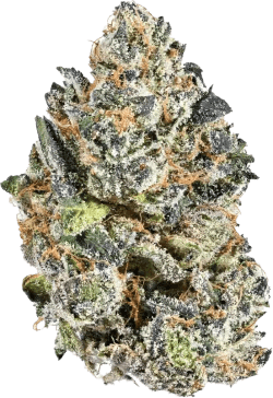 Nugz Nugz Guava Jam 7g