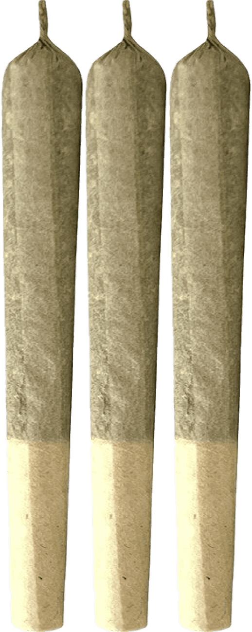 MTL Cannabis Sage N' Sour Pre-Roll 3-pack | 1.5g