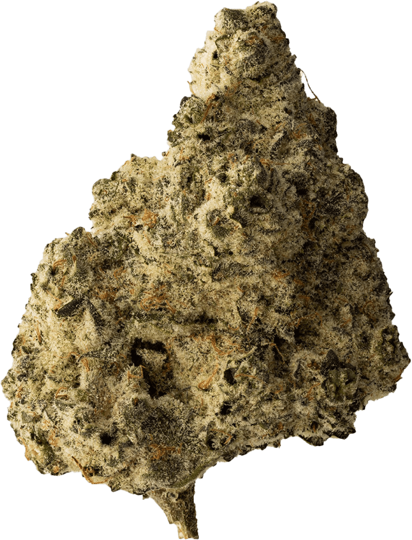 The Loud Plug