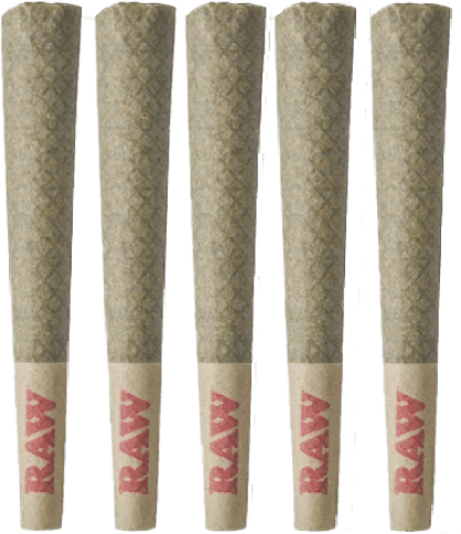 Tribal Neon Sunshine Pre-Roll - 5 x .6g