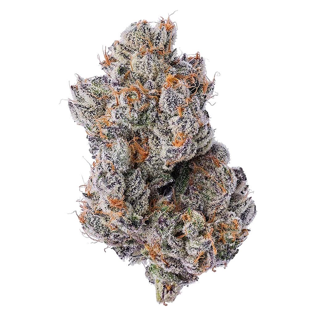 Coterie Purple Zushi 7g