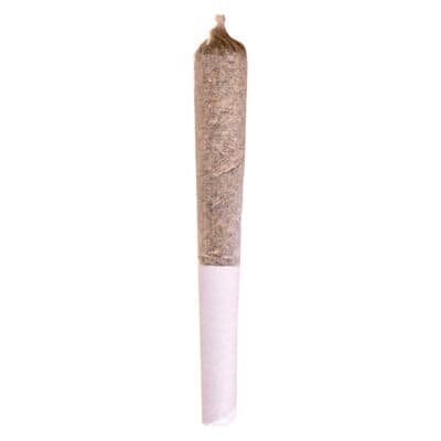 Ripped Ripped Indica 1 x 0.5g Pre-Roll
