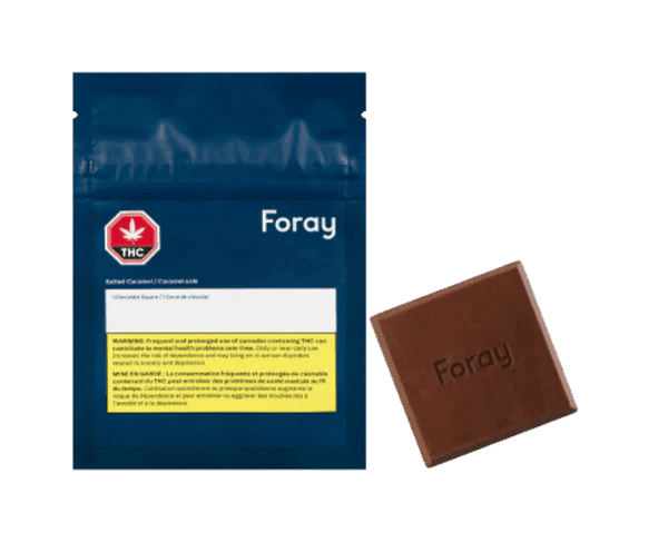Foray Foray Salted Caramel 1x10g Chocolate