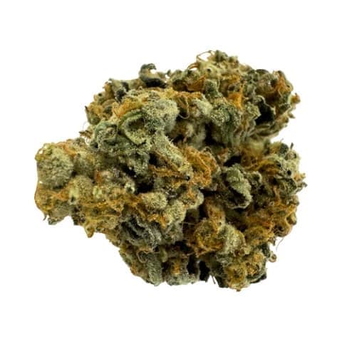 Qwest Morning Sun 7g Dried Flower
