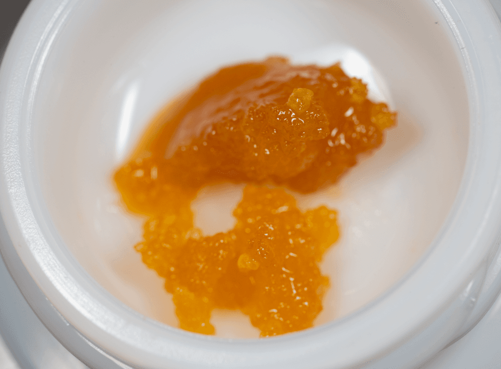 Nomad Extracts Kevin Garnett [2g]