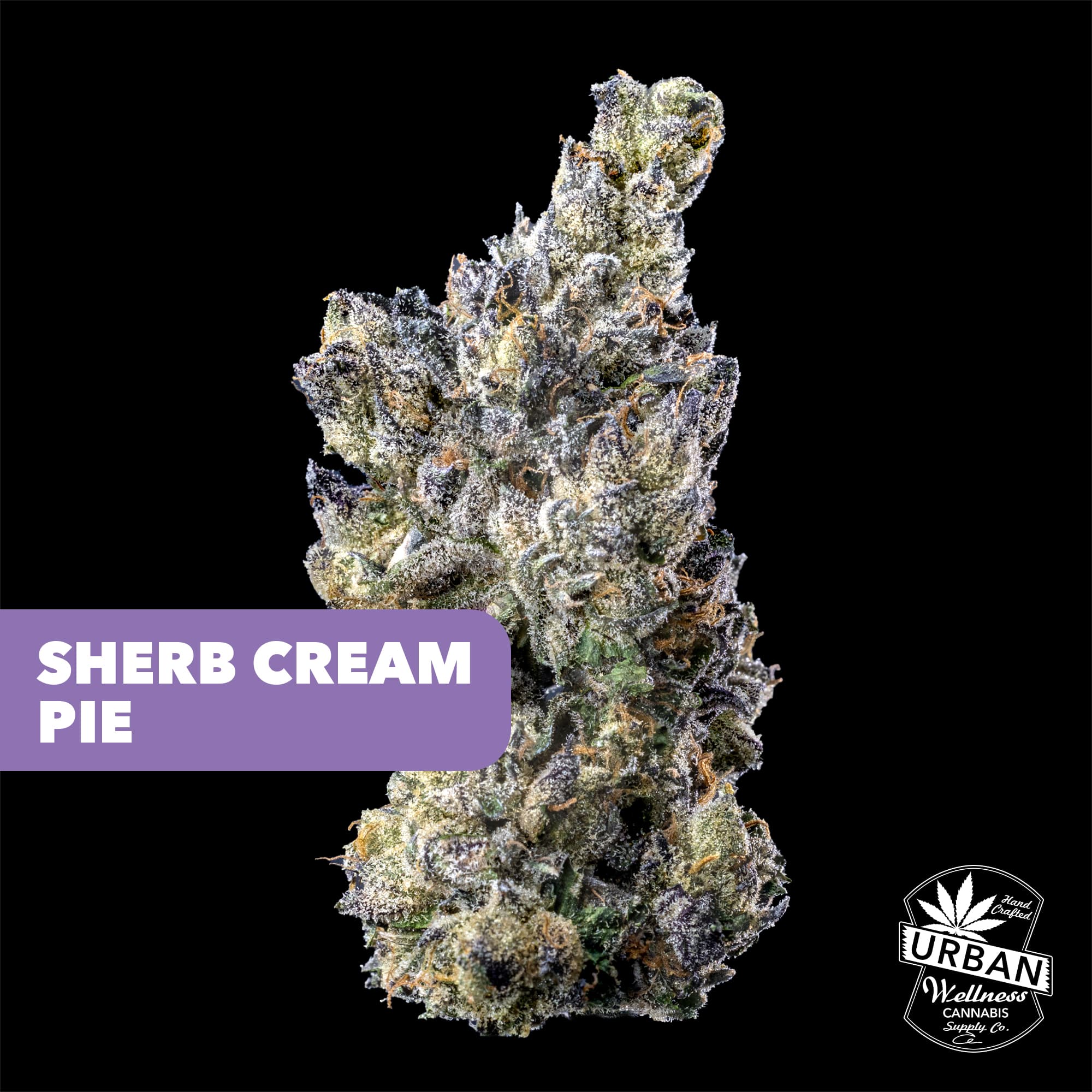 Urban Wellness Black Label - Sherb Cream Pie