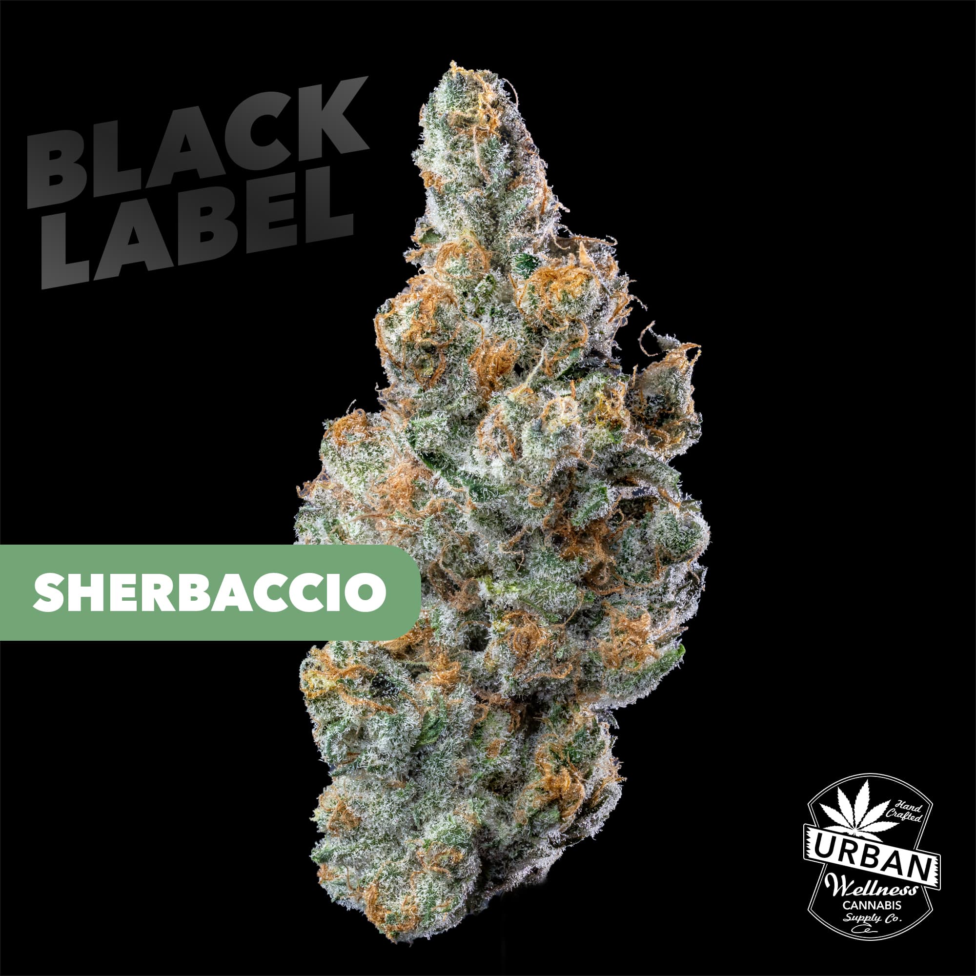 Urban Wellness Black Label - Sherbaccio [28g]