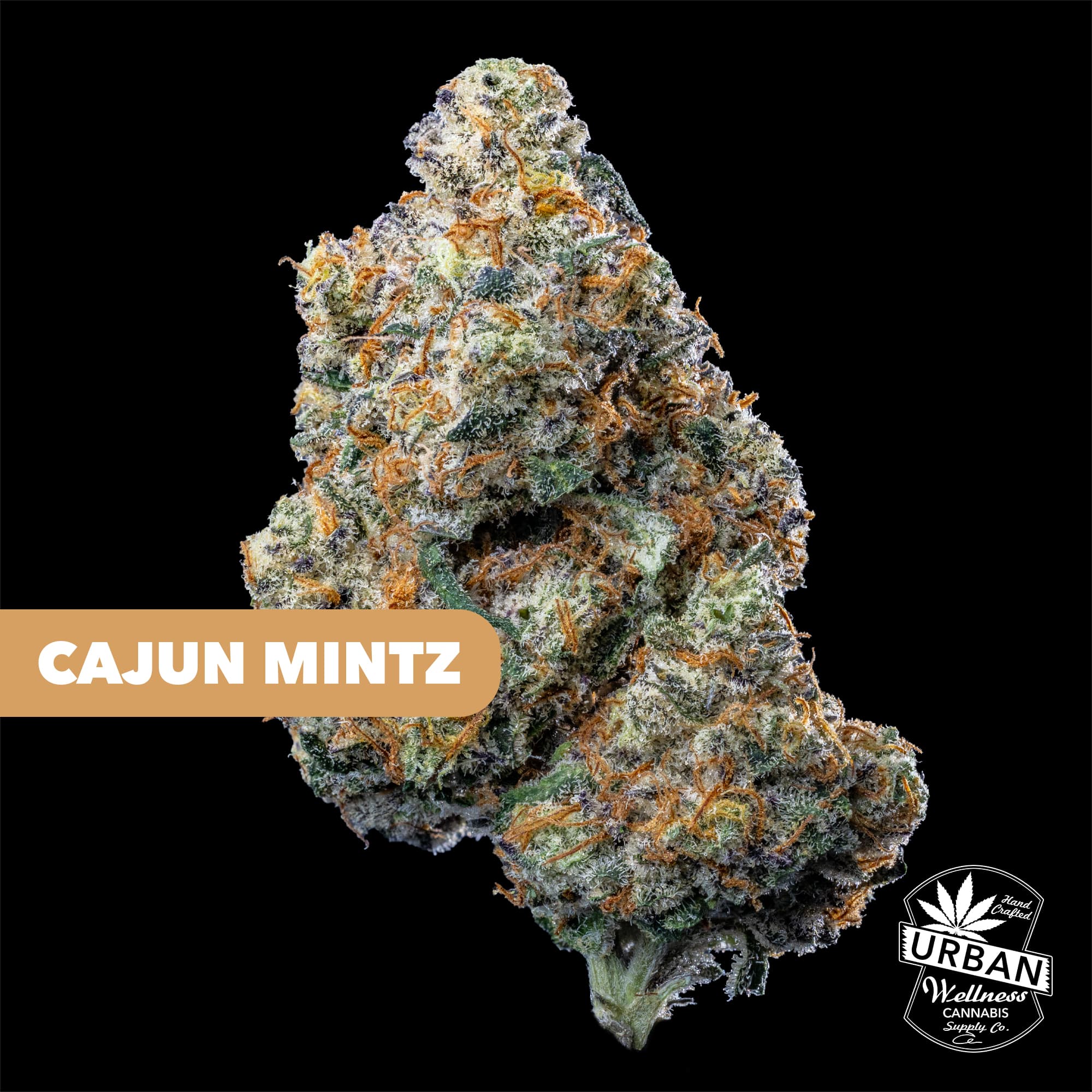 Urban Wellness Cajun Mintz