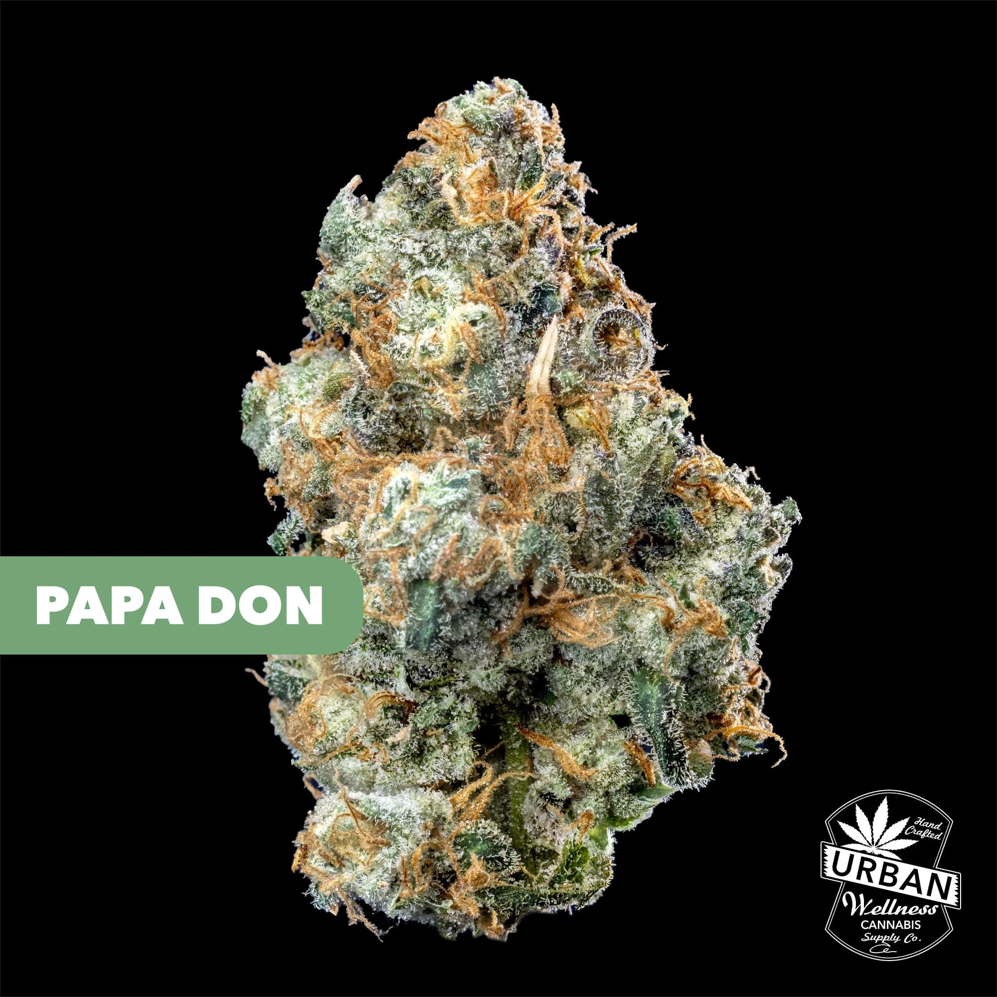 Urban Wellness Papa Don