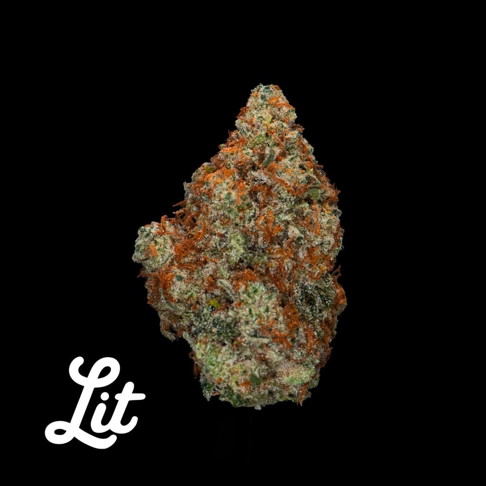Lit Labs