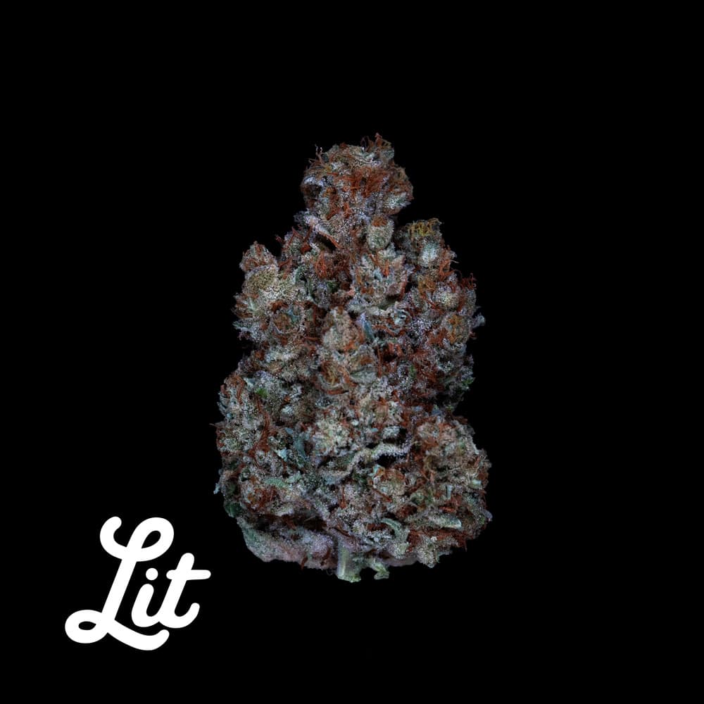Lit Labs