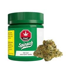 Spinach Concentrates