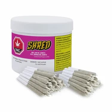 SHRED Big Jar of Joints Tropic Thunder + Gnarberry - SHRED - Variety Pre-Rolled