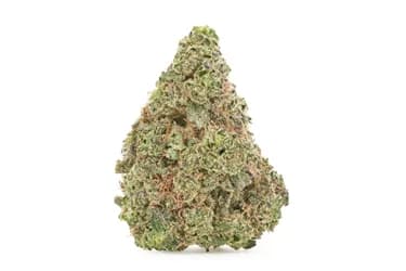 FIGR FIGR Jungle Fumes / 28g / Whole Flower / Sativa
