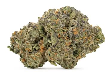 FIGR Mellow Man - FIGR - Dried Flower