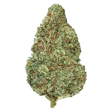 Back Forty Back Forty Chemzilla / 28g / Indica