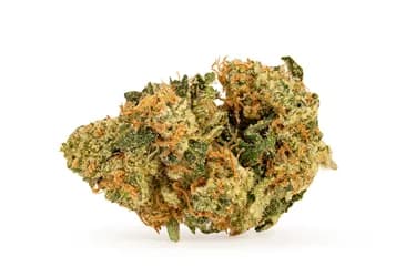 Good Supply Blueberry Donuts - Good Supply - Dried Flower